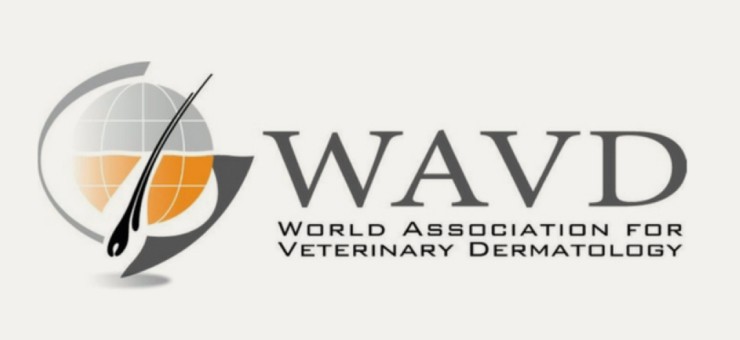 WAVD, THE HOST ORGANISATION